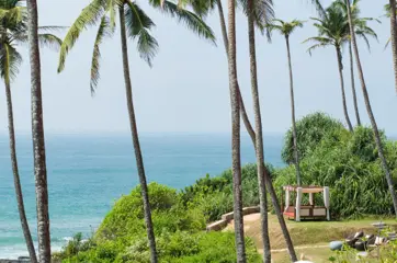 Cape Weligama – Large (6)