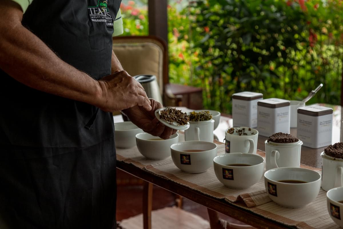 CTT Private Tea Tasting