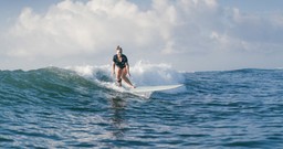 The Best Times to Visit