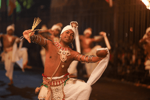 Experience the Kataragama Perahera and Surf in Arugam Bay