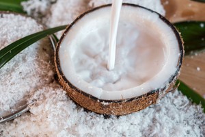 Coconut The Milk and Water