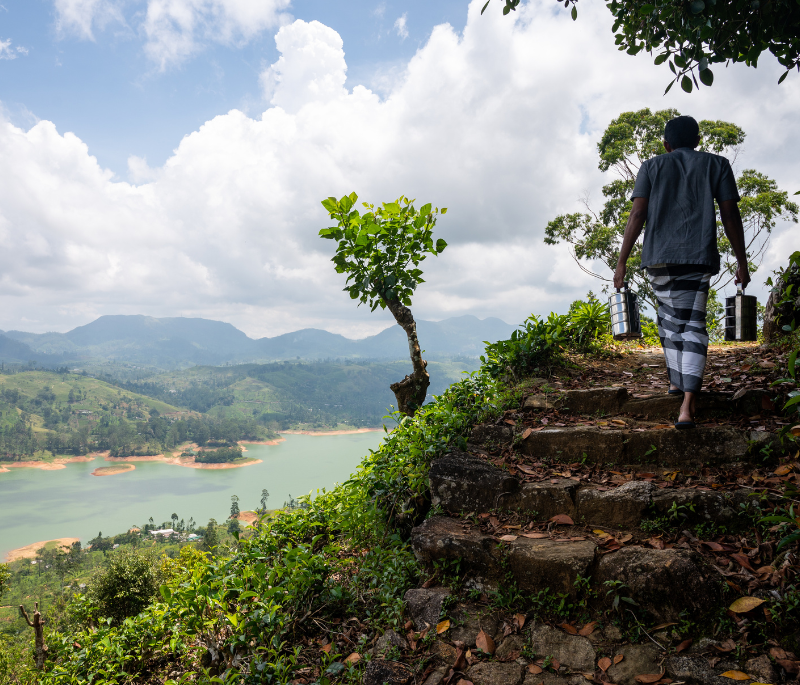 Pekoe Trail Journey